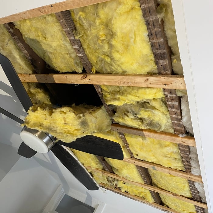 Cut out Sheetrock, looking at damage