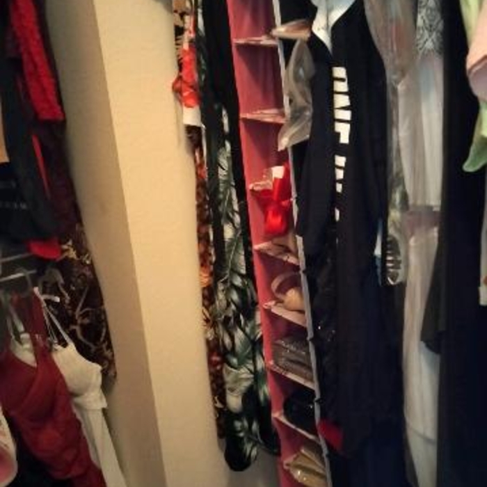 Before Photos of Apartment Closet
