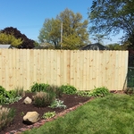 fence