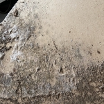 Mold on back side of sheetrock