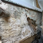 Mold going down the wall