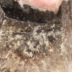 Mold in ceiling