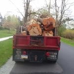 Tree Removal
