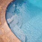 Pool Renovation