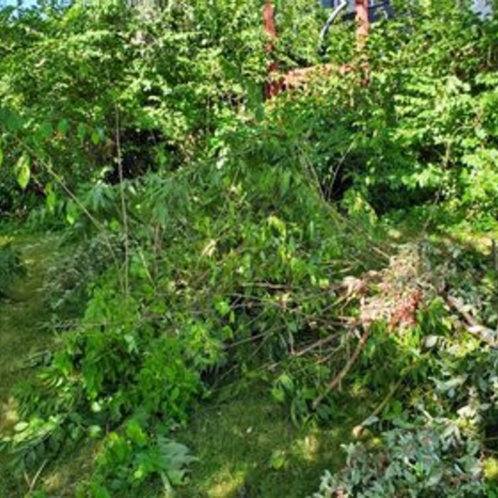 Deck - west side 1