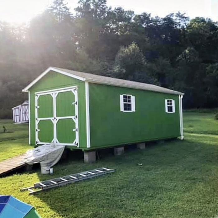 Storage Shed Repaint