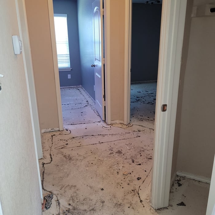 Hallway/bedrooms carpet and baseboard removed