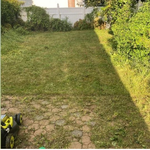 Lawn care & maintenance