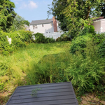 Lawn care and maintenance