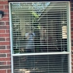 Window Replacement