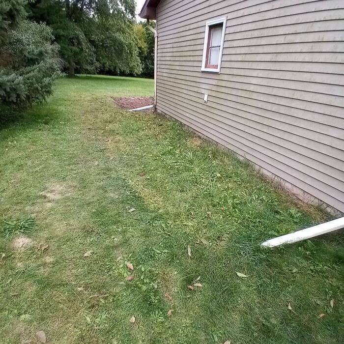 Junk Removal