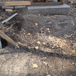 Exterior Landing/Dog Run