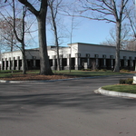 Cary Francis Group