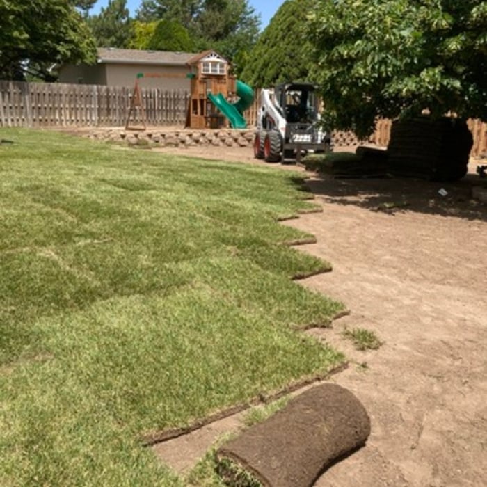 Laying sod
