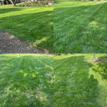 Lawn Mowing