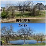 Tree Trimming & Cleanup