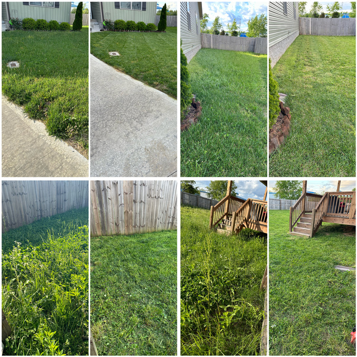 Mow - Before & After
