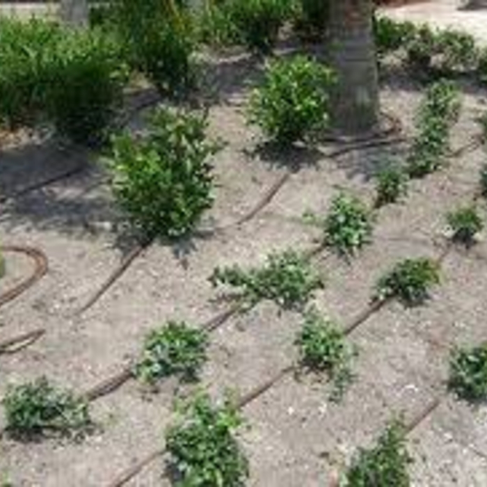 Drip installation
