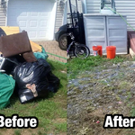 Backyard Cleanout