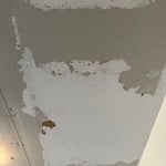 Ceiling before