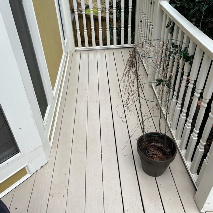 Recent Before & Afters