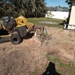 My work