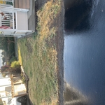 FRONT YARD PROJECT