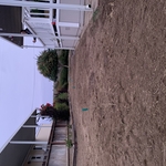 FRONT YARD CLEAN UP