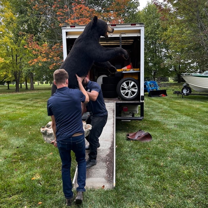 Loading Into Truck