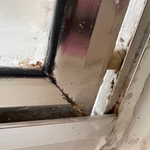 Deep Cleaning Services