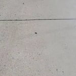 Concrete Sidewalk (after)