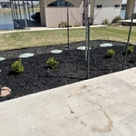 Flower bed with mulch