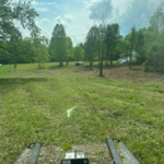 Landclearing