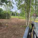Landclearing