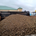 Delivery price & Our Work