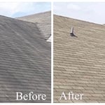 roof cleaning