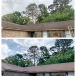roof cleaning