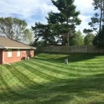 My work