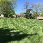 My work