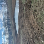 Proctor Pond