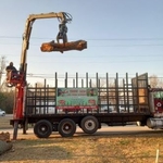 Tree Service