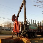Tree Service