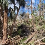 Hurricane Ian Cleanup