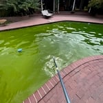 Pool Service