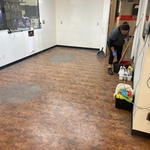 My work