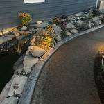 Pond