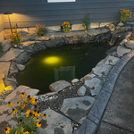 Pond