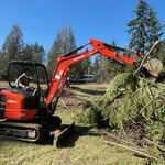 Stump and Shrub Removal