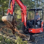 Stump Removal