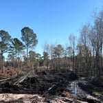 Land clearing & new pond